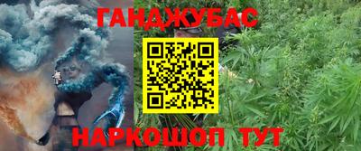 сатива Краснодар