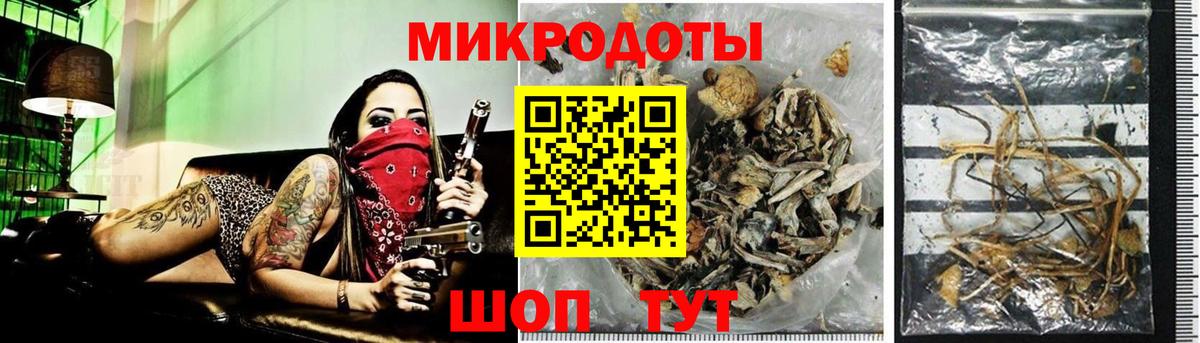 Псилоцибиновые грибы мицелий  Псилоцибиновые грибы MAGIC MUSHROOMS  Кандалакша  что такое наркотик  Вход с VPN 
